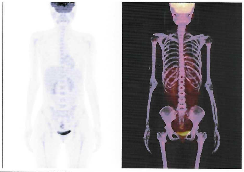 61931d31e9e28.png 61931d31e9e28.png