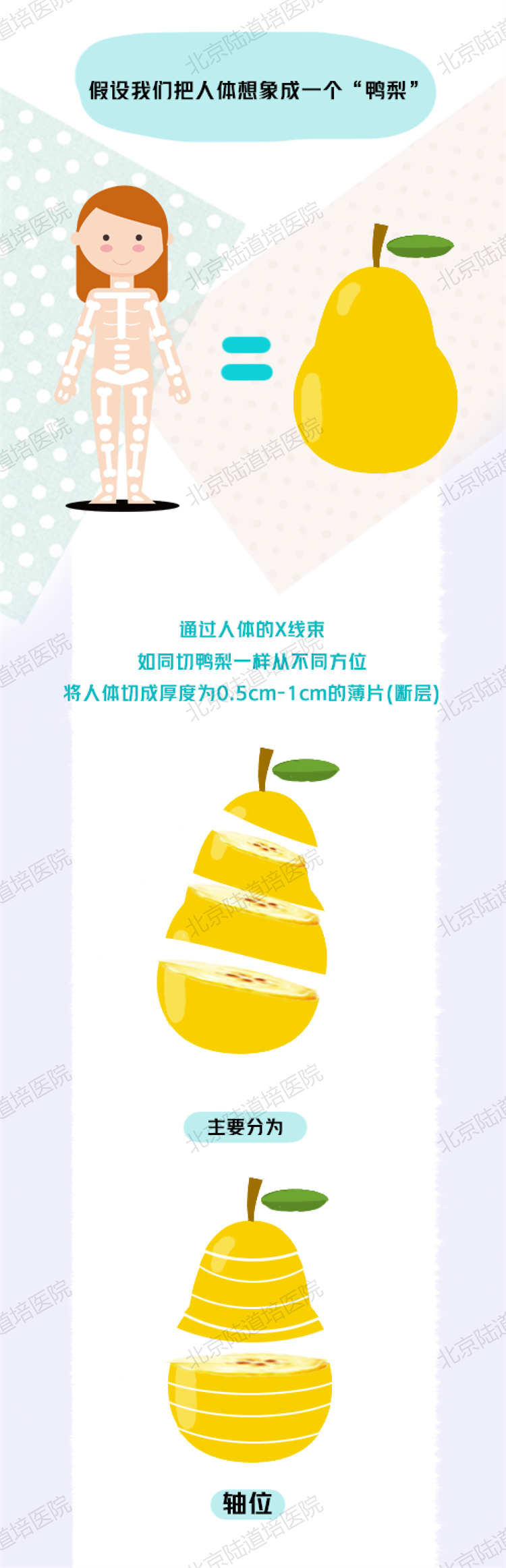 61c2e1eae8aa6.png 61c2e1eae8aa6.png