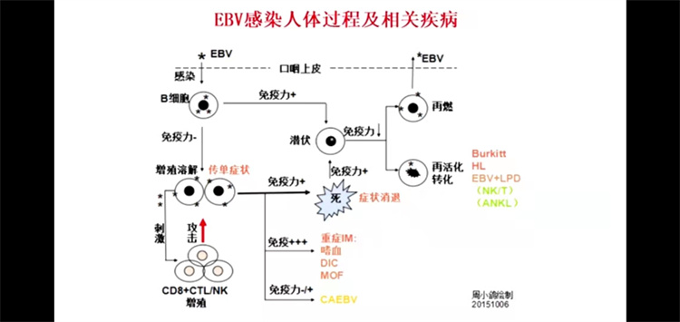 61cd6448808a9.jpg 61cd6448808a9.jpg