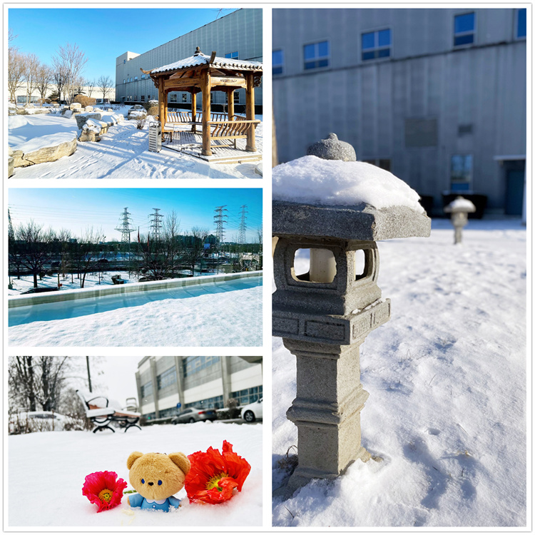 620b4e8c3f901.jpg 620b4e8c3f901.jpg