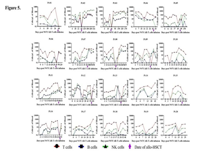 627495a81103e.png 627495a81103e.png