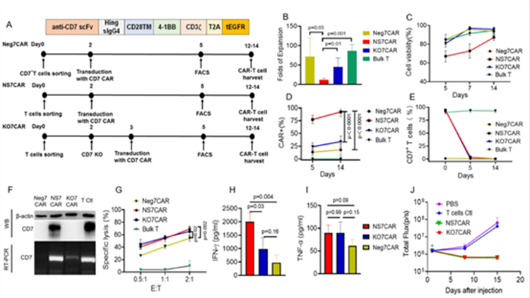 627495c571a4e.png 627495c571a4e.png