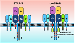 6282055a7b1a2.png 6282055a7b1a2.png