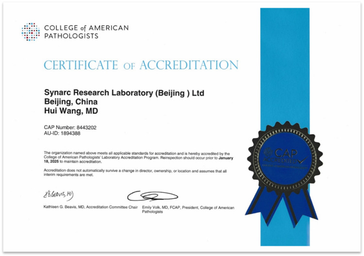 6311a41842175.png 6311a41842175.png