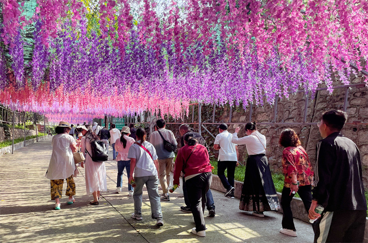 6512960809c87.jpg 6512960809c87.jpg