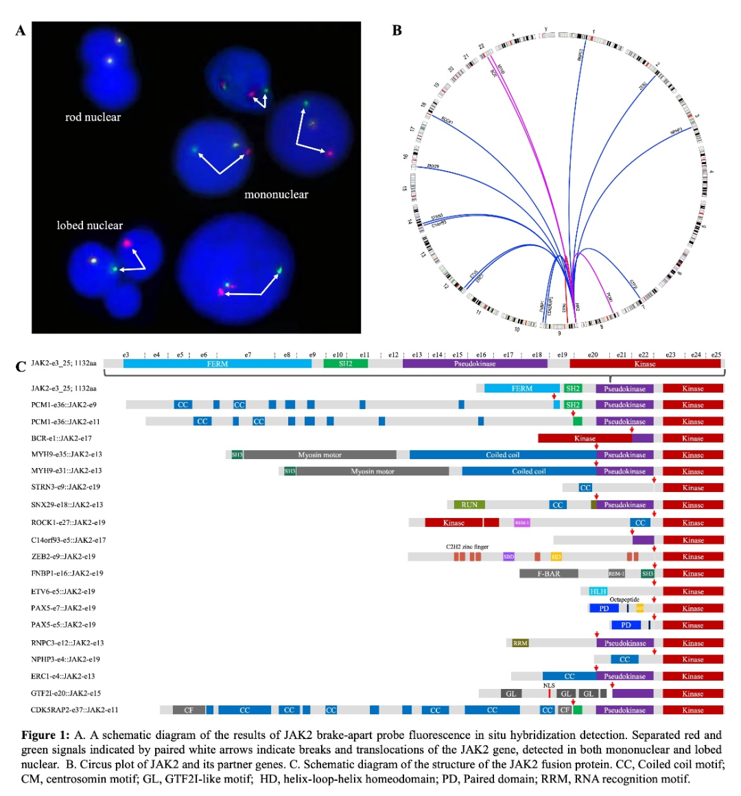 6584ffea91af8.png 6584ffea91af8.png