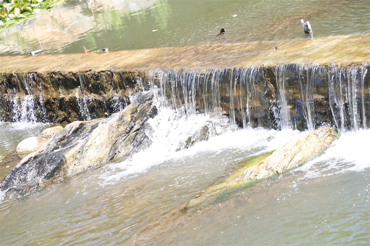 66615fe586758.jpg 66615fe586758.jpg