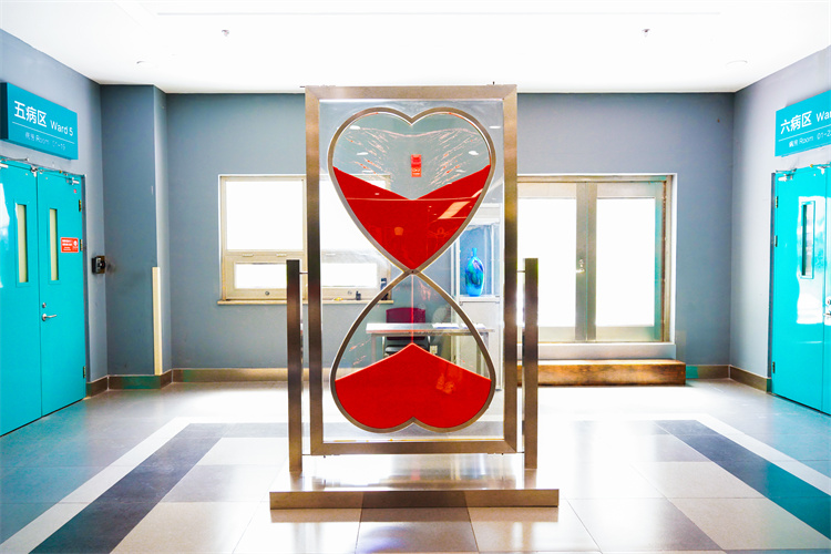 669e16126345e.jpg 669e16126345e.jpg