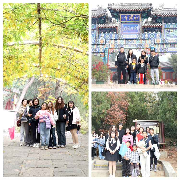 672c5ebf9855e.jpg 672c5ebf9855e.jpg