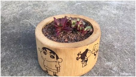 6733172f9eaef.png 6733172f9eaef.png