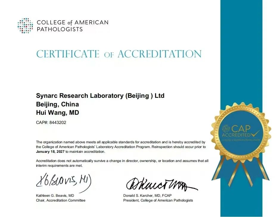 67dd2b0aa42d9.jpg 67dd2b0aa42d9.jpg