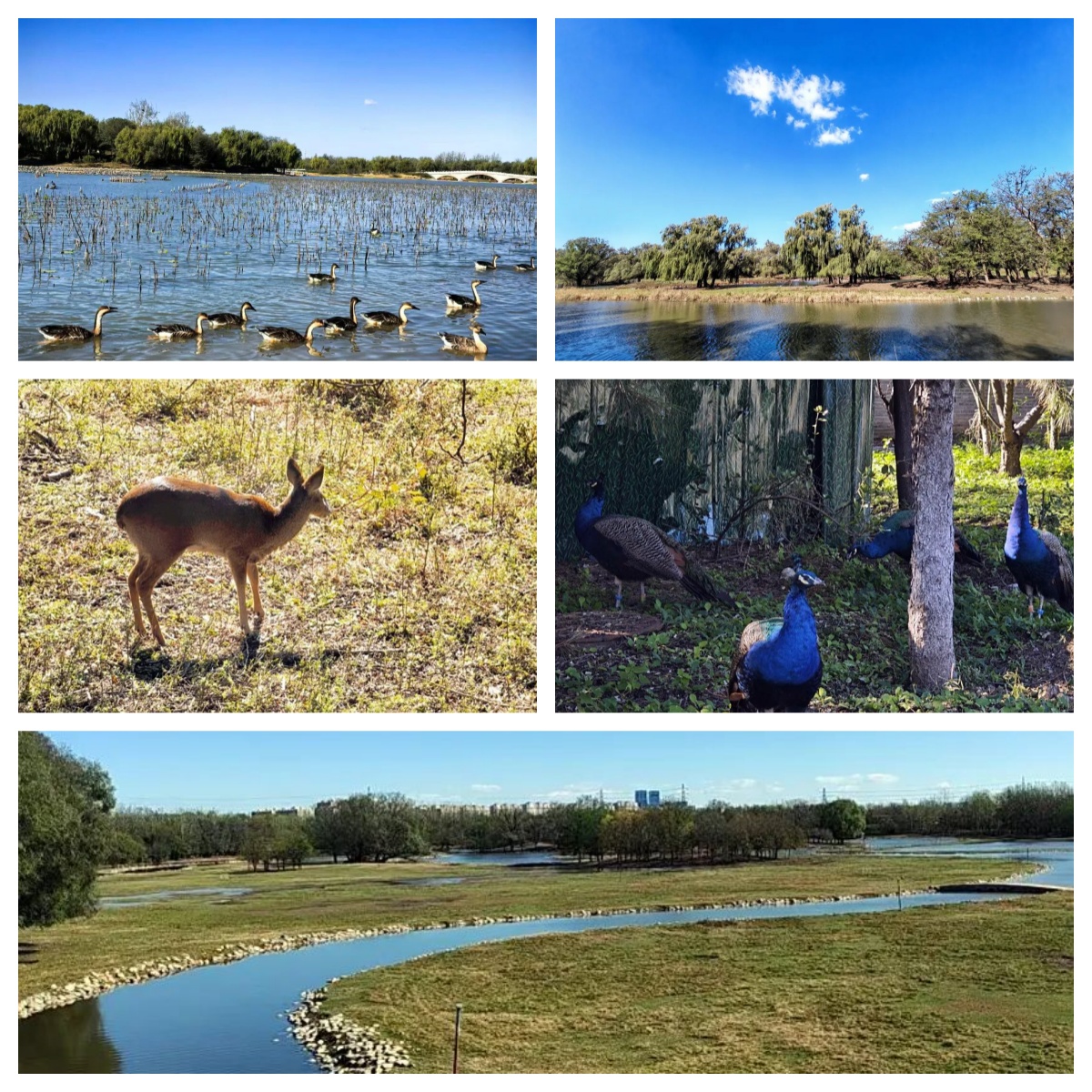 68f6f4e13d0bf.jpg 68f6f4e13d0bf.jpg