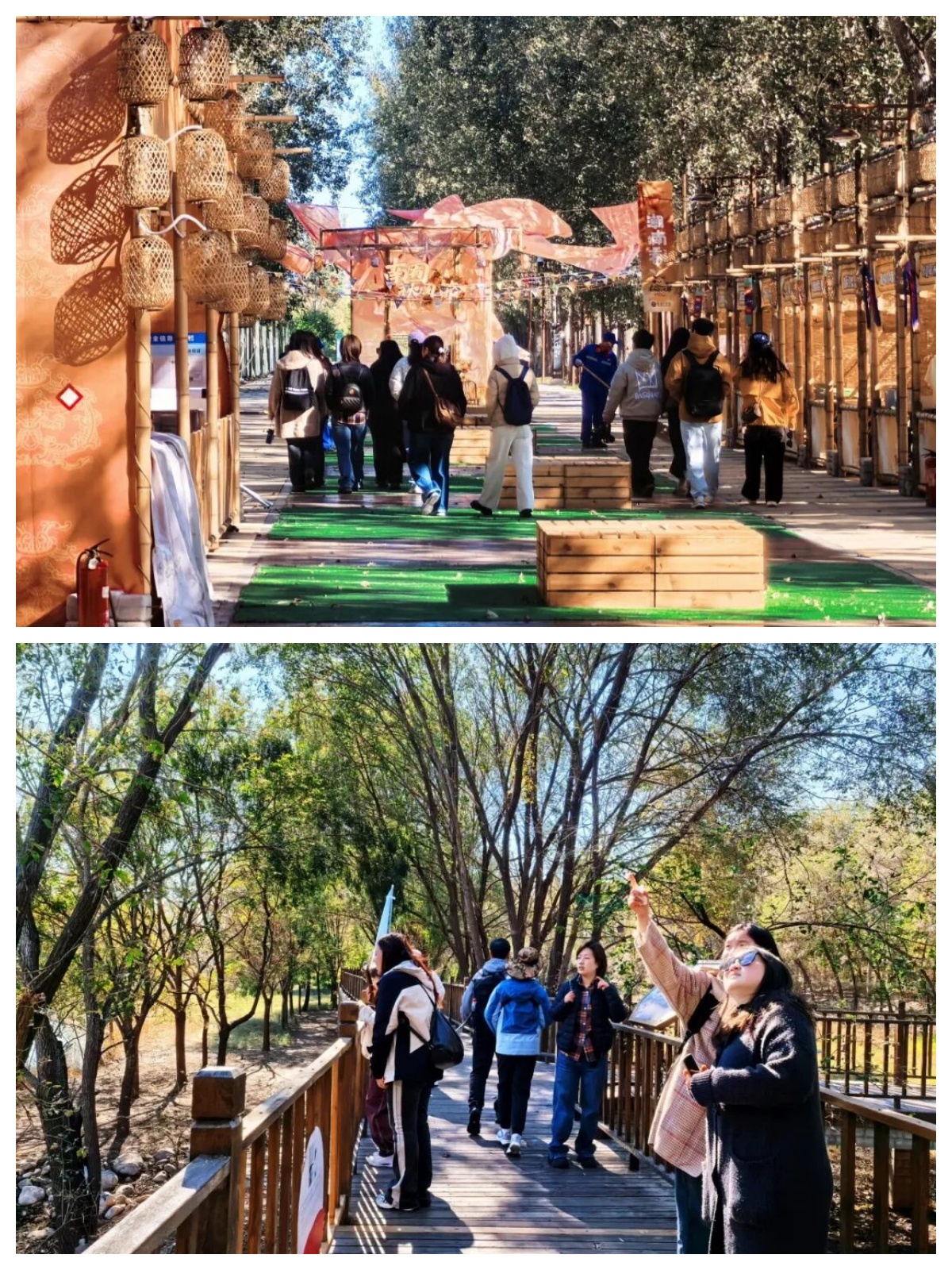 68f6f4ee2c946.jpg 68f6f4ee2c946.jpg