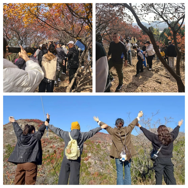 691c03512af60.jpg 691c03512af60.jpg