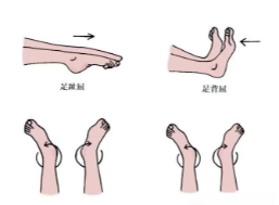 69311b1ca4af4.png 69311b1ca4af4.png